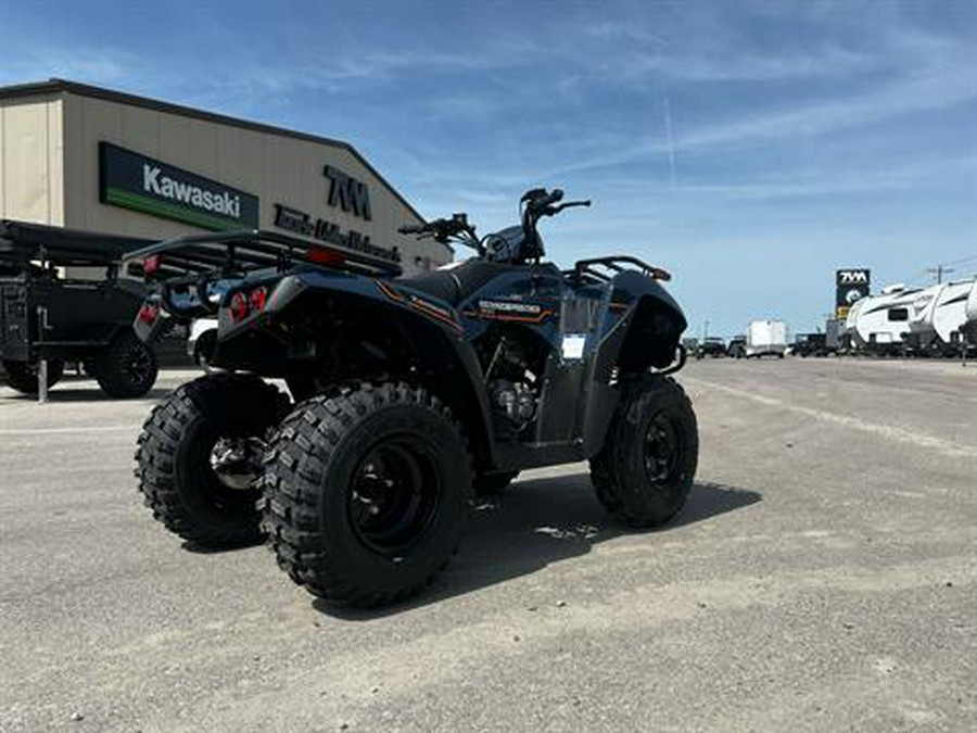 2025 Kawasaki Brute Force 300