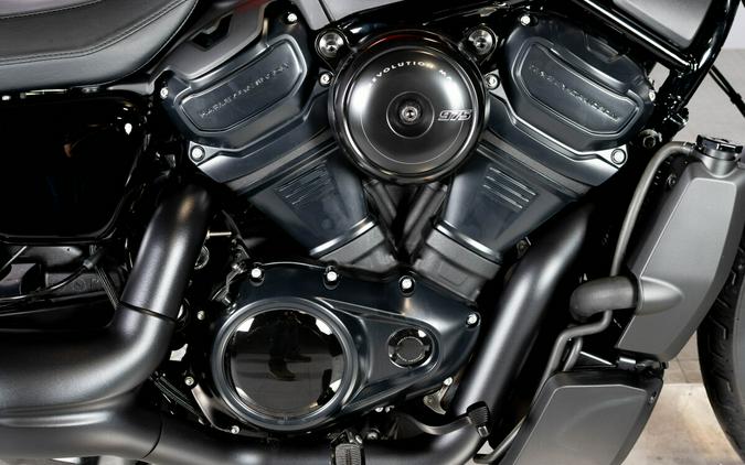 2025 Harley-Davidson Nightster RH975