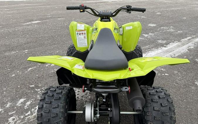 2026 Yamaha Raptor 110