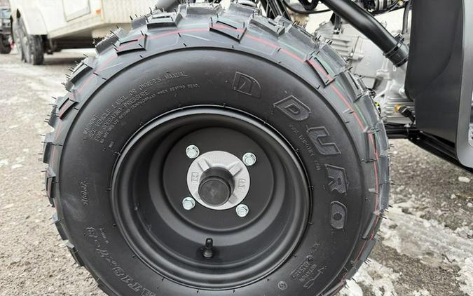 2026 Yamaha Raptor 110