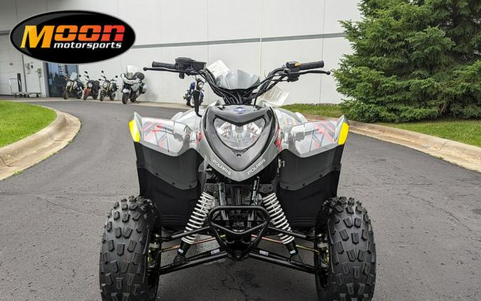 2024 Polaris Phoenix 200