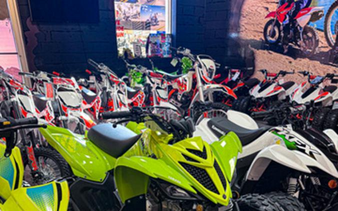 2026 Yamaha Raptor 110