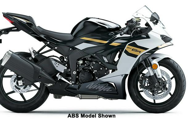 2026 Kawasaki Ninja ZX-6R