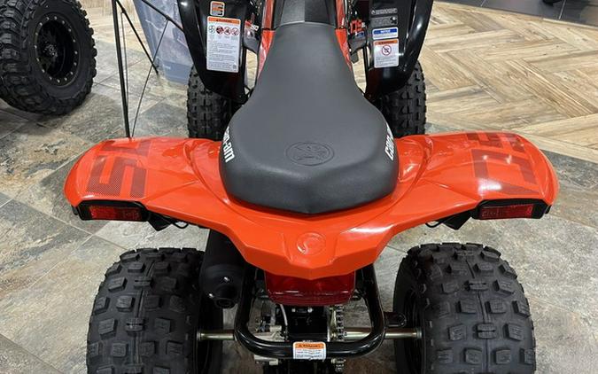 2024 Can-Am DS 250