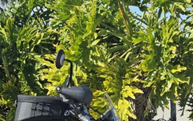 2024 Triumph Scrambler 400 X Matte Khaki Green / Fusion White Phantom Black Silver Ice