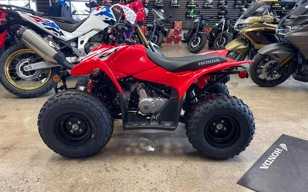 2026 Honda® TRX90X