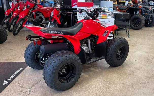 2026 Honda® TRX90X
