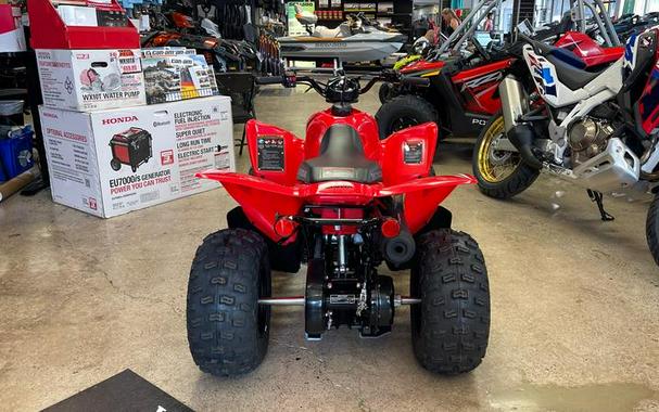 2026 Honda® TRX90X