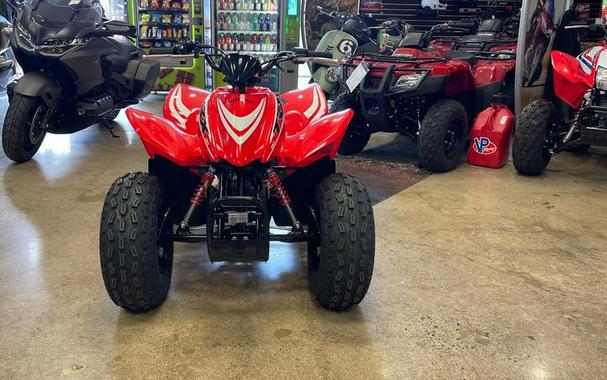 2026 Honda® TRX90X