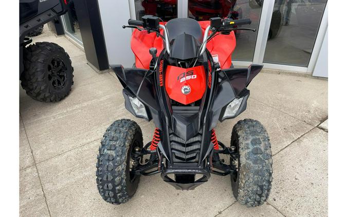 2020 Can-Am ATV DS 250 CR/B 20