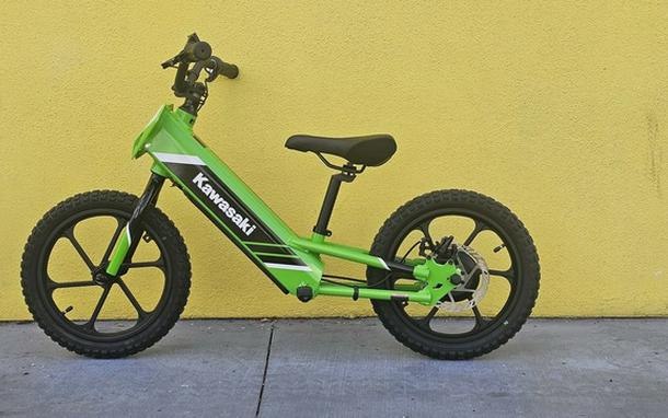 2025 Kawasaki Elektrode 16