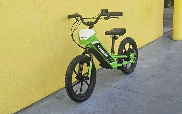 2025 Kawasaki Elektrode 16