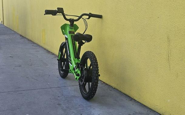 2025 Kawasaki Elektrode 16