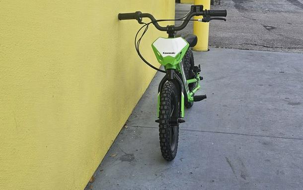 2025 Kawasaki Elektrode 16