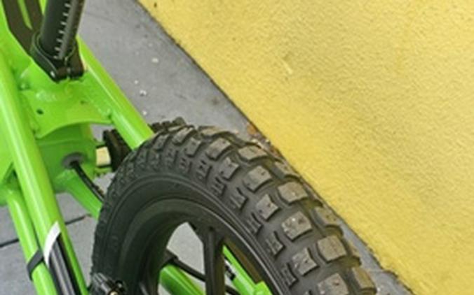 2025 Kawasaki Elektrode 16