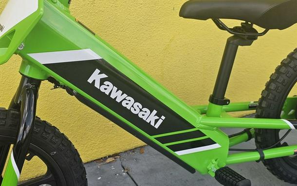 2025 Kawasaki Elektrode 16
