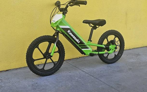 2025 Kawasaki Elektrode 16