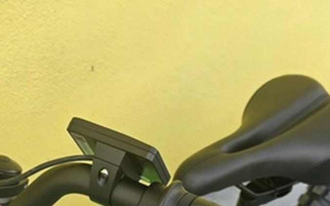 2025 Kawasaki Elektrode 16