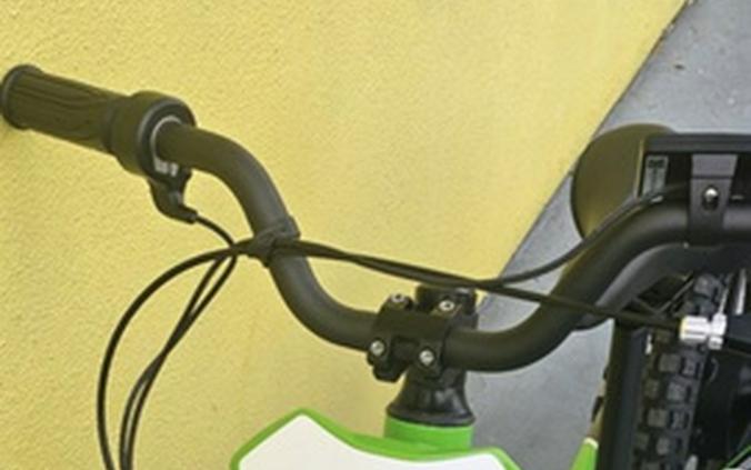 2025 Kawasaki Elektrode 16