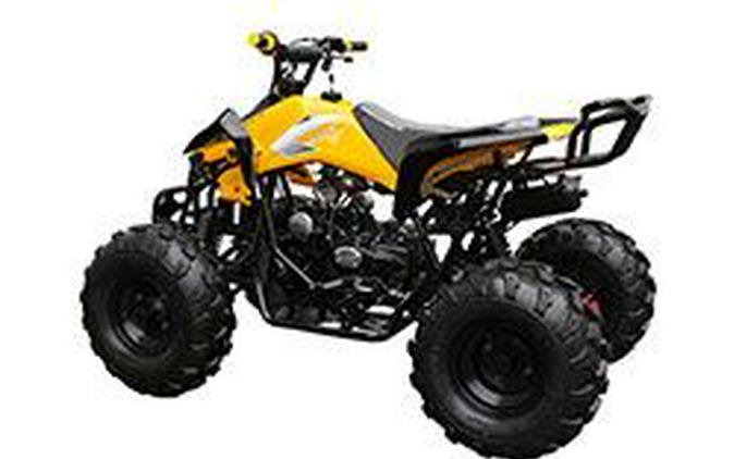 2026 Coolster ATV-3125CX-2