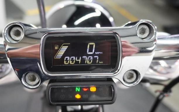 2021 Harley-Davidson® FXST - Softail® Standard