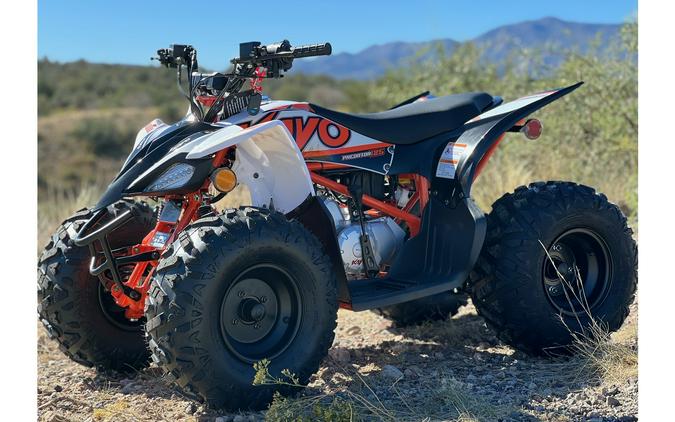 2023 Kayo Predator 125 (10+ years) -Santa Won’t Come To Town Without You-