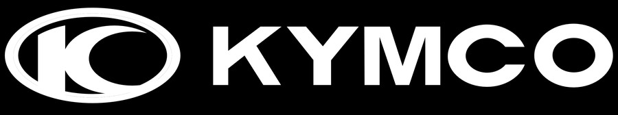 2021 YCF YCF BIG Y 190