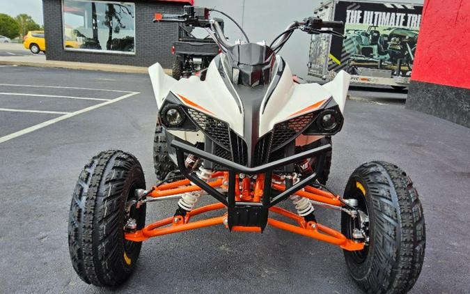 2027 Kayo Storm 300 EFI