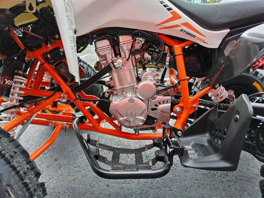 2027 Kayo Storm 300 EFI