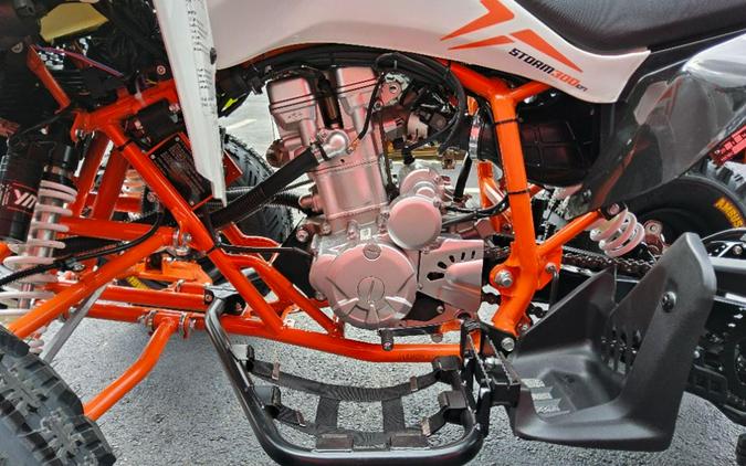 2027 Kayo Storm 300 EFI