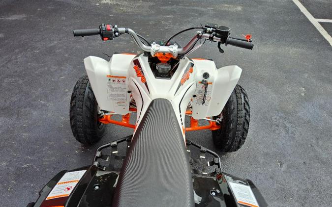 2027 Kayo Storm 300 EFI