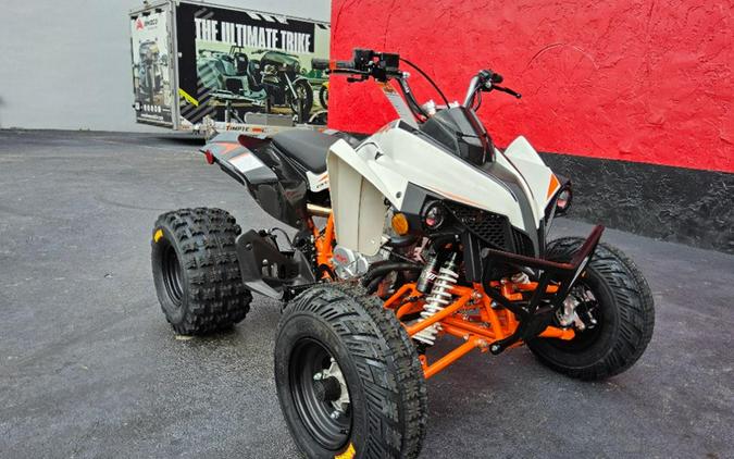 2027 Kayo Storm 300 EFI
