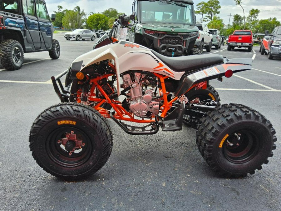 2027 Kayo Storm 300 EFI