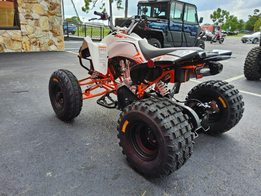 2027 Kayo Storm 300 EFI