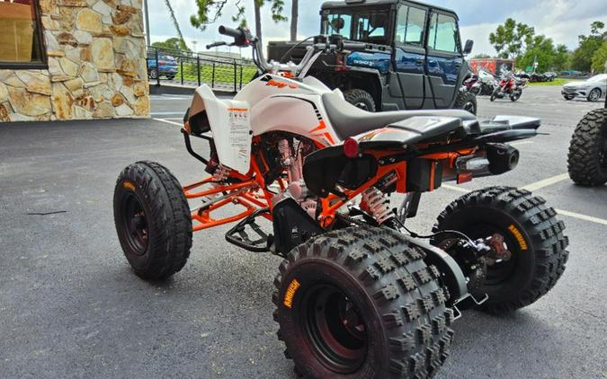 2027 Kayo Storm 300 EFI