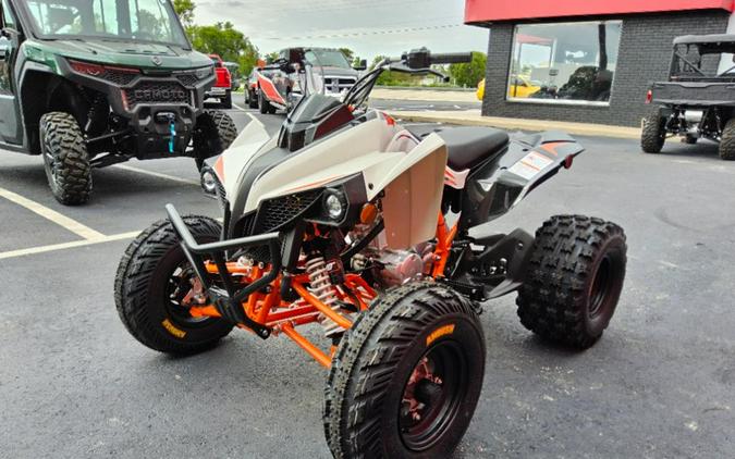2027 Kayo Storm 300 EFI