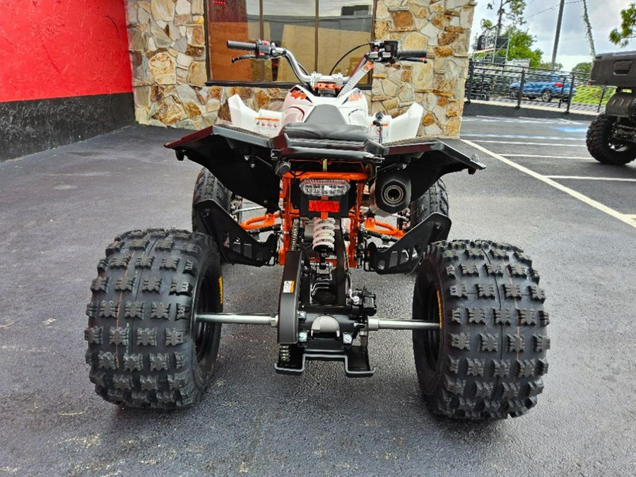2027 Kayo Storm 300 EFI