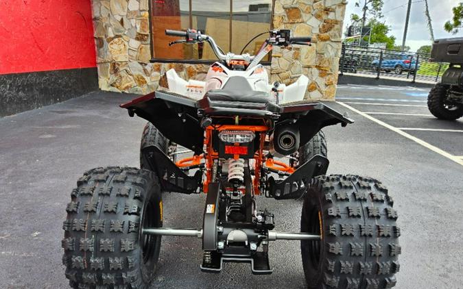 2027 Kayo Storm 300 EFI