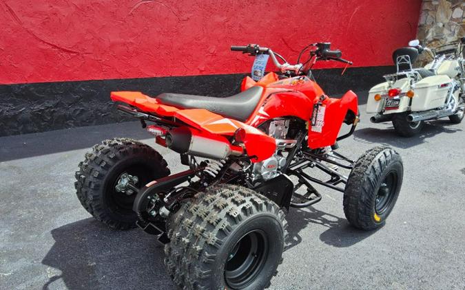 2027 Kayo Storm 300 EFI
