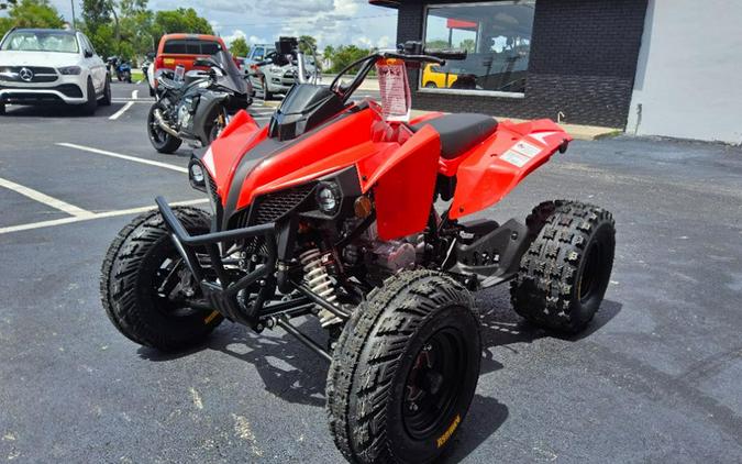 2027 Kayo Storm 300 EFI