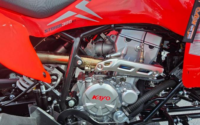 2027 Kayo Storm 300 EFI