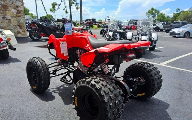 2027 Kayo Storm 300 EFI