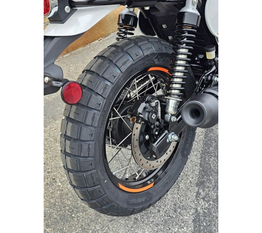 2025 Royal Enfield Bear 650 Boardwalk White