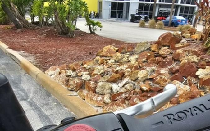 2025 Royal Enfield Bear 650 Boardwalk White