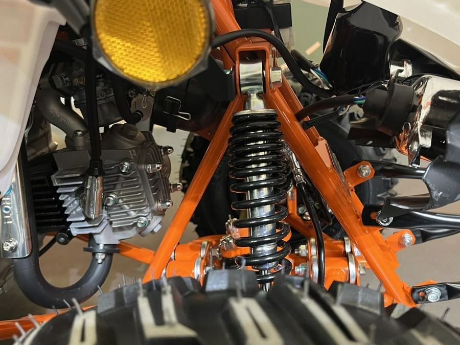 2026 Kayo Fox / Storm 70