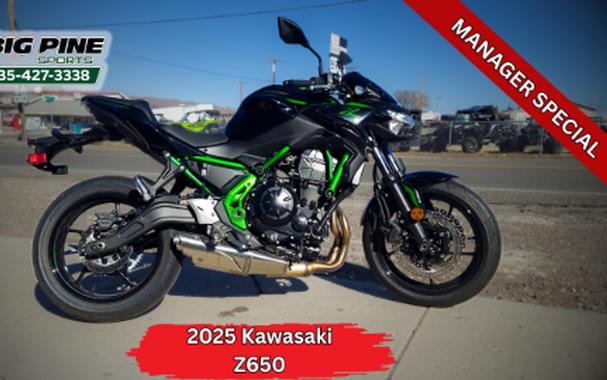 2025 Kawasaki Z650 ABS