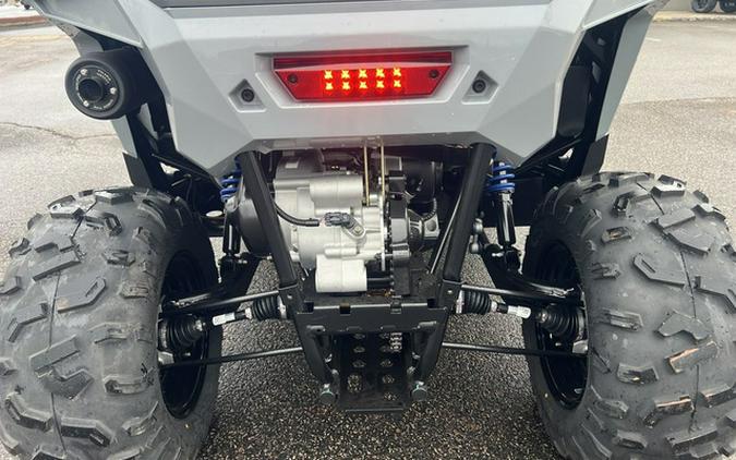 2026 Polaris RZR 200 EFI