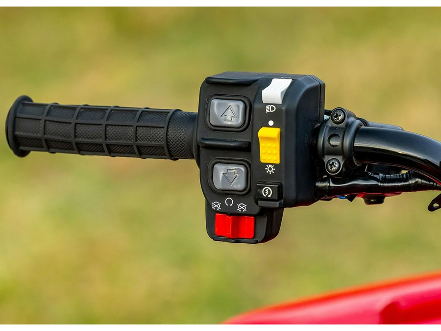 2026 Honda FourTrax Foreman® Rubicon 4x4 Automatic DCT EPS