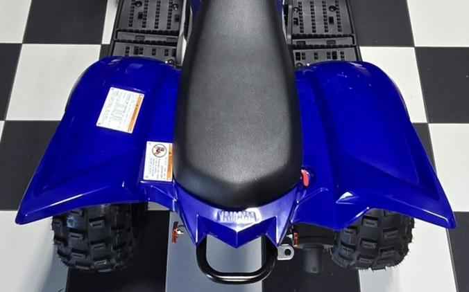 2026 Yamaha Raptor 110