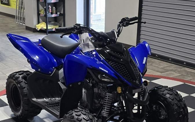 2026 Yamaha Raptor 110